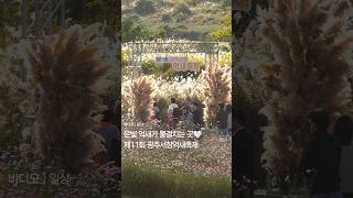 은빛 억새가 물결치는 곳 ♥ 제11회 광주서창억새...