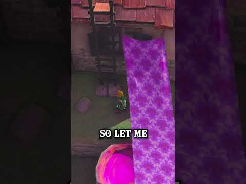 Did you notice these Dye Shop Banners in Tears of the Kingdom?