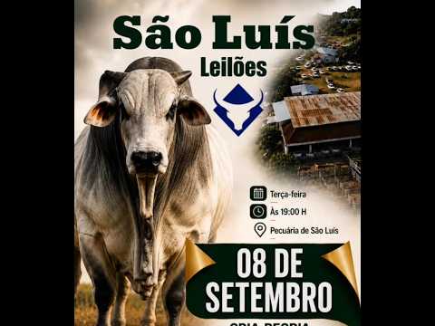 São Luís de Montes Belos - GO   08/09/2026