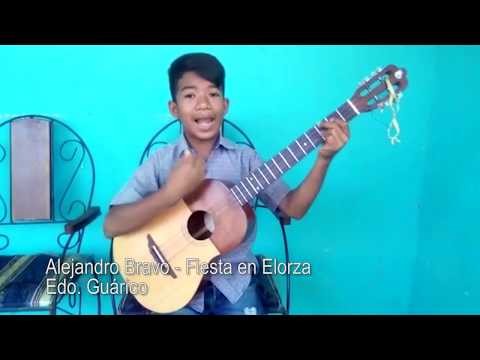Alejandro Bravo - Fiesta en Elorza - combate el Coronavirus