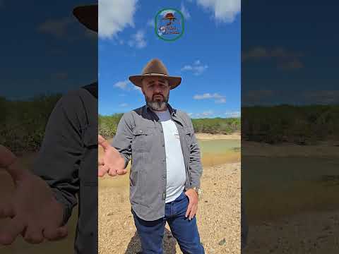 🌾 FAZENDA À VENDA EM SANTA MARIA DA BOA VISTA-PE 🌾