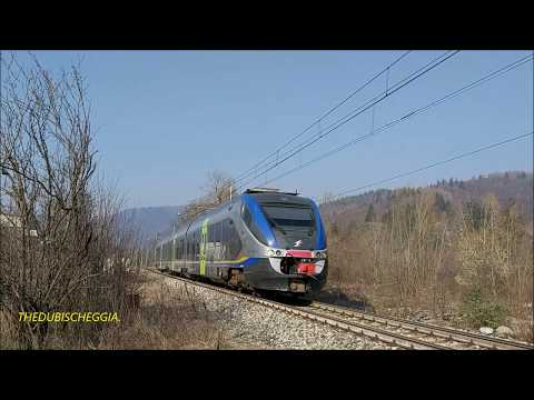 MINUETTO D. IN TRANSITO VELOCE POMERIDIANO A ROBILANTE. (CN) SAB. 22 - 2 - 2020.