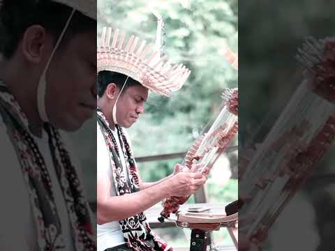 Tak Satupun - Sasando by Natalino Mella  #sasando  #lagurohanikristen   #tubeharp #indonesiaharp