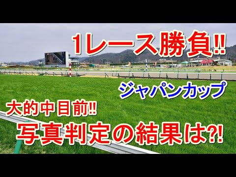 【わさお】ジャパンカップで1レース勝負!! / 2020.11.29【競馬実践】
