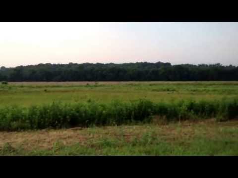 Field of Lost Shoes (Clip 'Toward That Mountain')