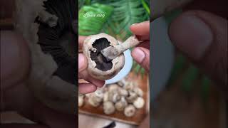 How to clean Mushrooms | #Shorts | | Cleaning Button Mushrooms! 🍄 Kitchen hack! | Tips