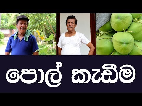 පොල් කැඩීම | Pol Kadima | Dingi mahaththaya | MY TV SRI LANKA