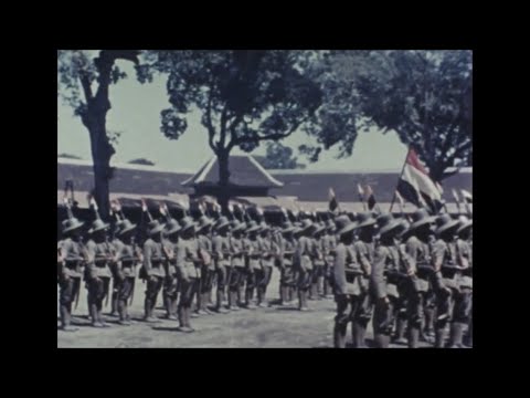 Seven Nation Army can't Stop Dutch East Indies