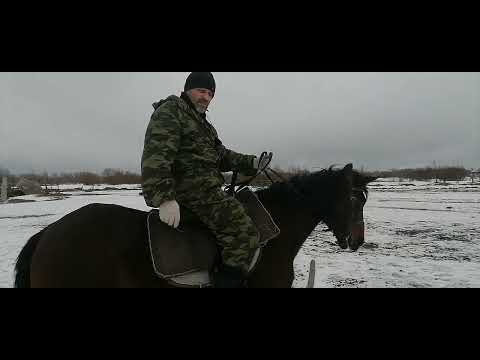 Актёр кино отработка на коне