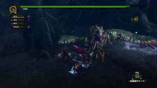 【MHFZ】800エスピ頑張ルンバ。久々MHF