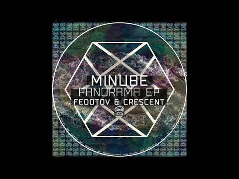 Minube, Fedotov - Tough Bird (Original Mix) // TZH144