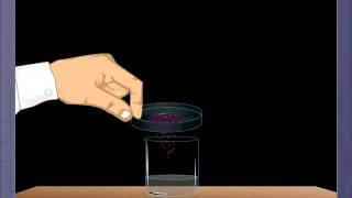 Solid Liquid Equilibrium