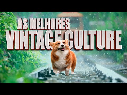 Show Me The Way - Shapeless, Padox, FM Laeti - Vintage Culture - Drink Music