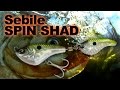 Sebile Lure Spin Shad 1 22g Farbe DD4, - 95mm - DD4 - 22g - 1Stück