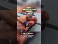 Top 5 Charles Oliveira Finishes Ufc Charlesoliveira