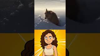 Jogou seu cachorro fora do avião