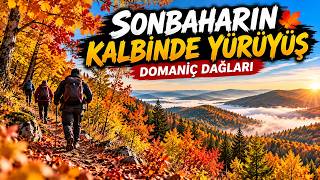 Domaniç Dağlarında Sonbahar Yürüyüşü | Doğanın Kalbinde Eşsiz Bir Yolculuk 🍂