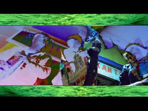 The Parrots - Let's Do It Again (Official Video)