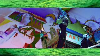 The Parrots - Let's Do It Again (Official Video)