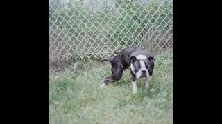 Kaytranada - Victoria Bridge