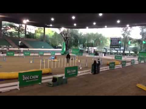 Gerson y pita en Saltos individual open.... En argentina...