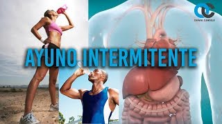 Ayuno intermitente ¿Cómo funciona? Fisiológicamente