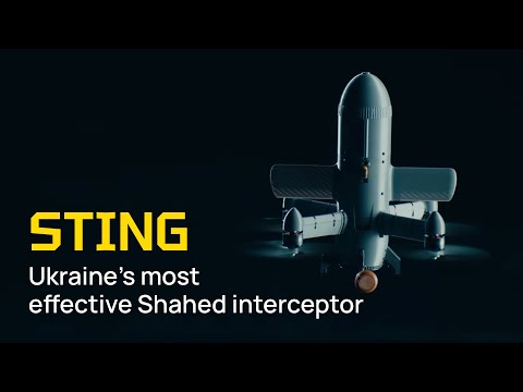 The Wild Hornets have created an effective Shahed interceptor — STING