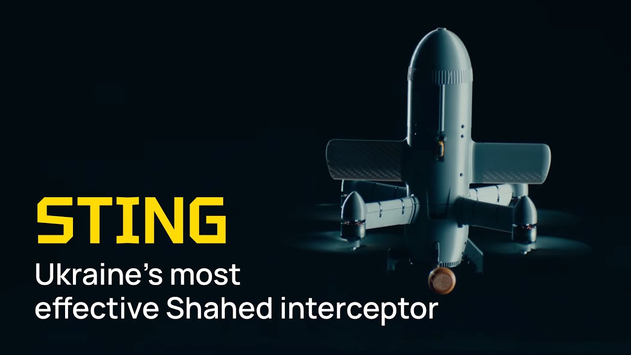 The Wild Hornets have created an effective Shahed interceptor — STING