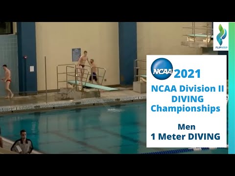 2021 NCAA Division II - Men 1 Meter Diving Competition