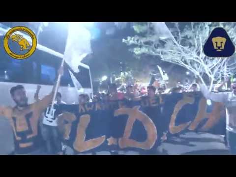 "caravana REBEL + REBEL CHIAPAS" Barra: La Rebel &bull; Club: Pumas