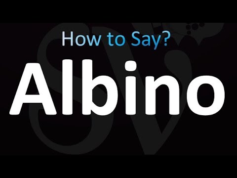 How to Pronounce Albino (Correctly!)