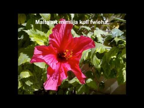 Malta   Mary spiteri