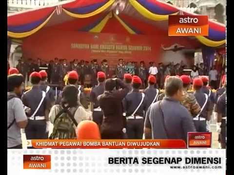 Papaverin, intramuskuler untuk potensi Kantong kecil di penis dapat