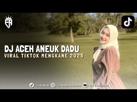 DJ ACEH CINTA AWAI LOEN MEE | DJ VIRAL TIKTOK MENGKANE 2025