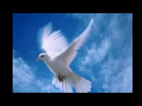 Paco Stanley - Que suerte he tenido de nacer