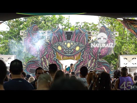 Radikal Moodz @ Naturaíz Festival