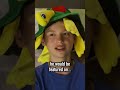 What Happened To The I Like Turtles Kid