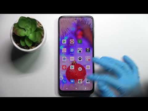 How to Set Up Device Theme on Motorola Moto G41 - Change Device Theme