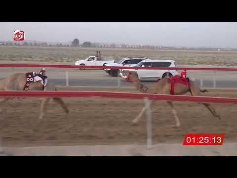 ش 6 (شاهين) لـ جمعه محمد بن خلفان المزروعي 3:02 ، شارة صندوق الحلفه 2026/08/25 فطامين سويحان