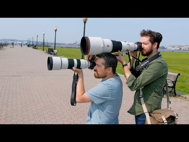 Video teaser per DPReview TV: Hands-on with Sony's new super-telephoto lenses (600mm F4 GM & 200-600mm F5.6-6.3)