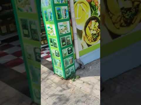 Nhà xe chuyển hàng Đà Lạt và Cần Thơ