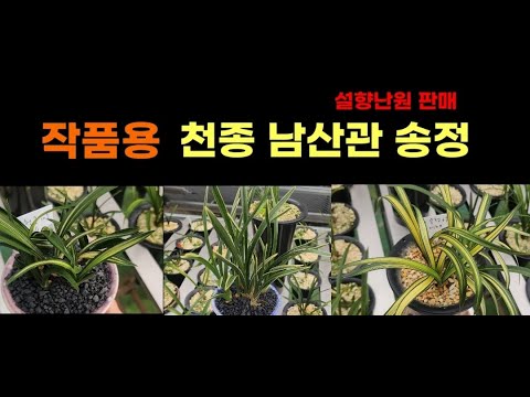 유튜브 썸네일