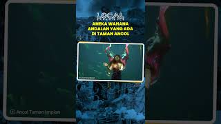 Aneka Wahana Andalan yang Ada di Taman Ancol, Masih Dipertahankan hingga Saat Ini