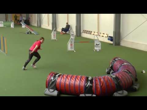 Agility-Turnier Östringen - 07.01.2017 Susi und Bailey (A3)