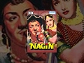 Nagin 1954 HD Vyjayanthimala Pradeep Kumar Jeevan Classic Movies With Eng Subtitles
