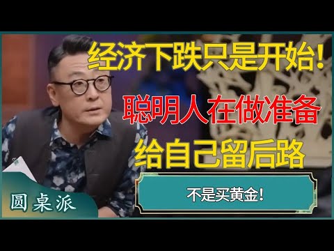 经济下跌只是开始，聪明人都在给自己留后路！#马未都 #对白 #白岩松 #金灿荣 #圆桌派