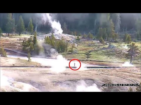 Un ranger del parco di Yellowstone ha rivelato che qualcosa di agghiacciante è accaduto all'inter...