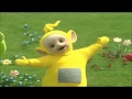 The Bear Cha Cha Cha Live Movies And TV Shows Dancing