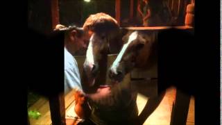 Smoke's Annual Bash!!  Big Smo "MyPlace" Featuring Darius Rucker