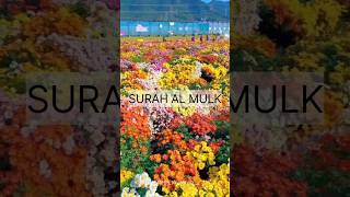Download lagu Surah Al-Mulk (Ayah 1-10) Aziz alili  | #shorts #quran #dua mp3